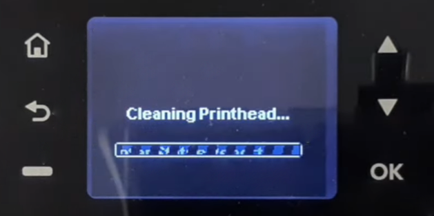 Detailed Instructions on Cleaning Print Heads